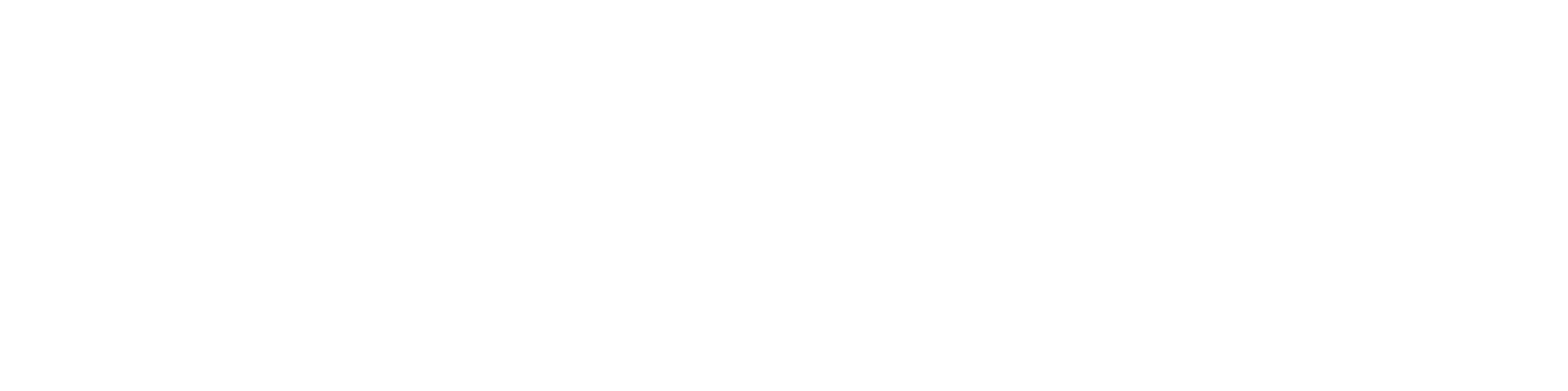 White logo - no background
